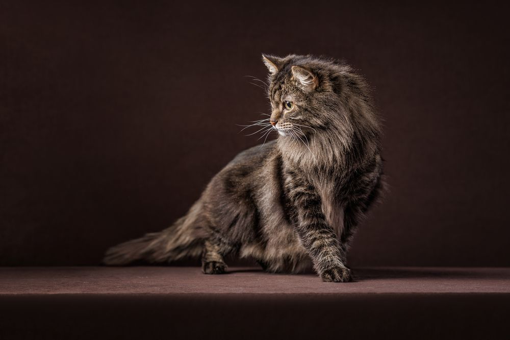 Photograph by Яна Нарбутович