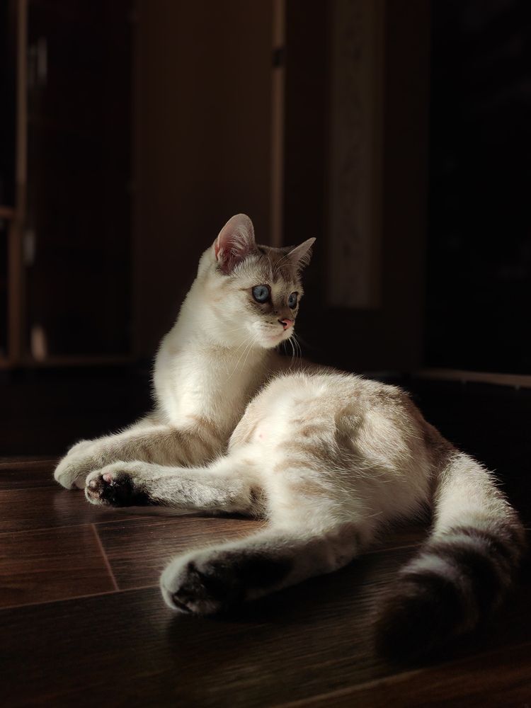 Photograph by Ирина Коскина