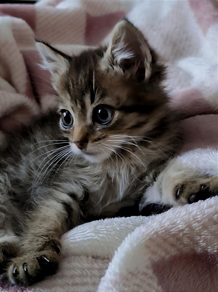Photograph by Ирина Коскина