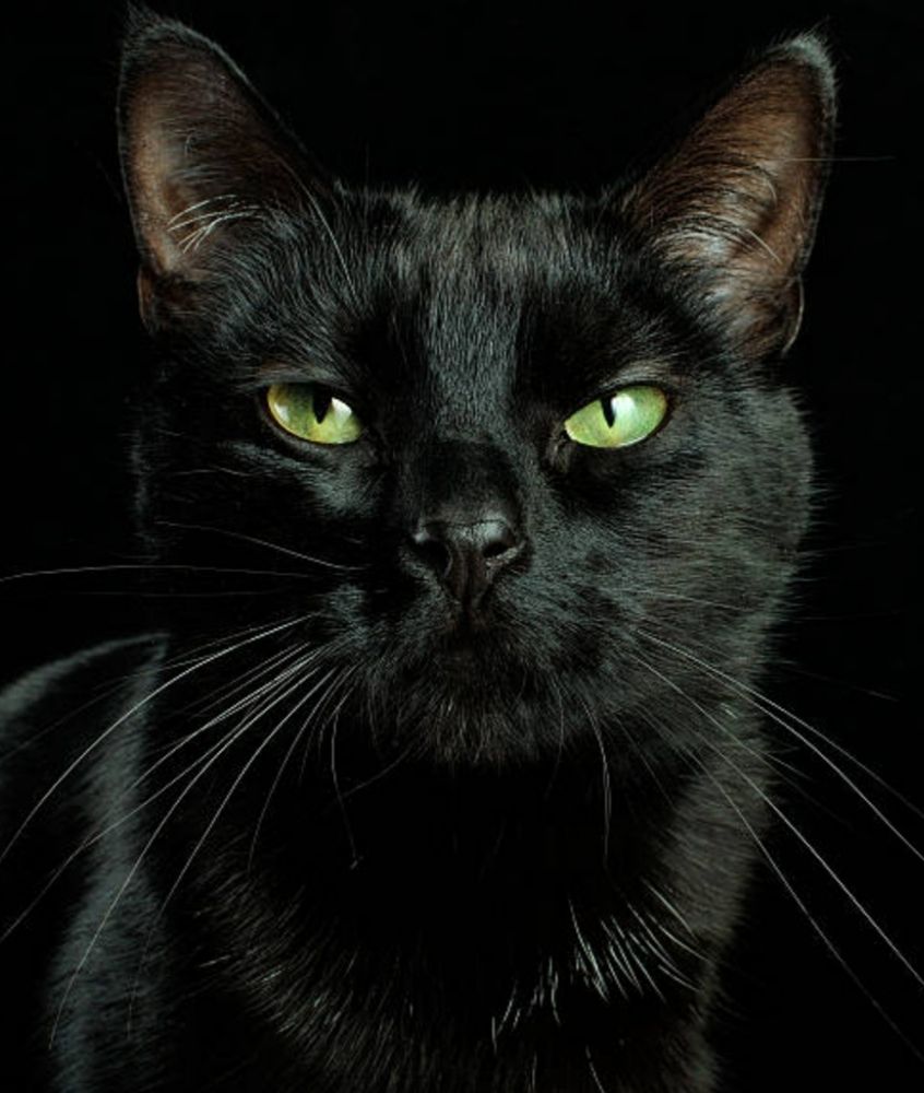 Photograph by B.Ramasubbaiah