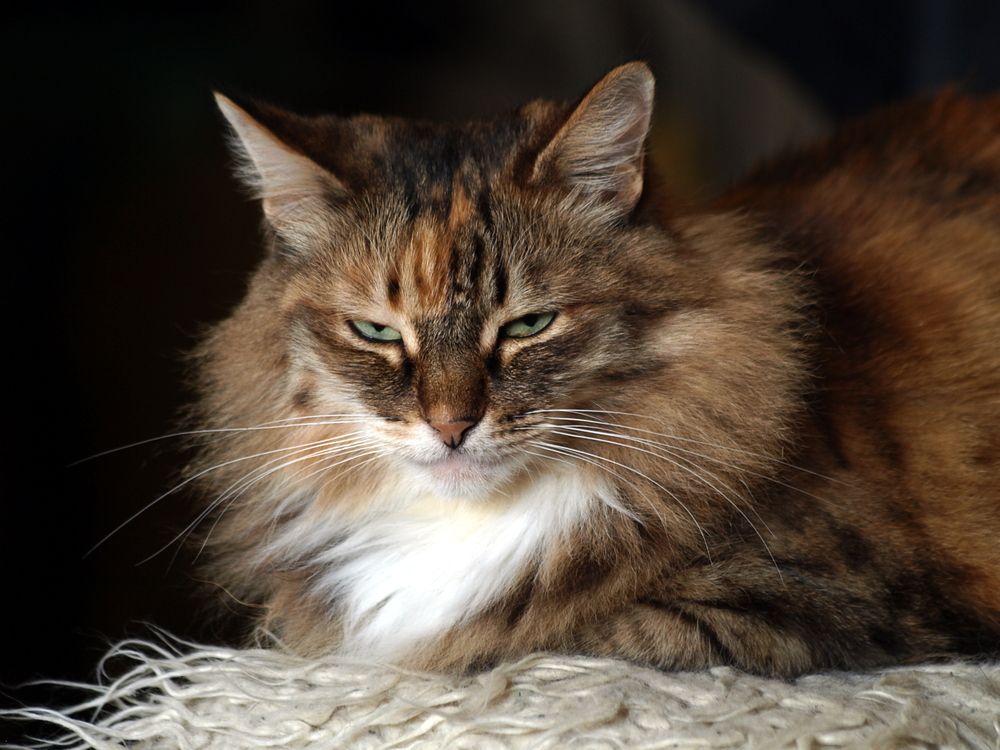 Photograph by Сергей Рябов