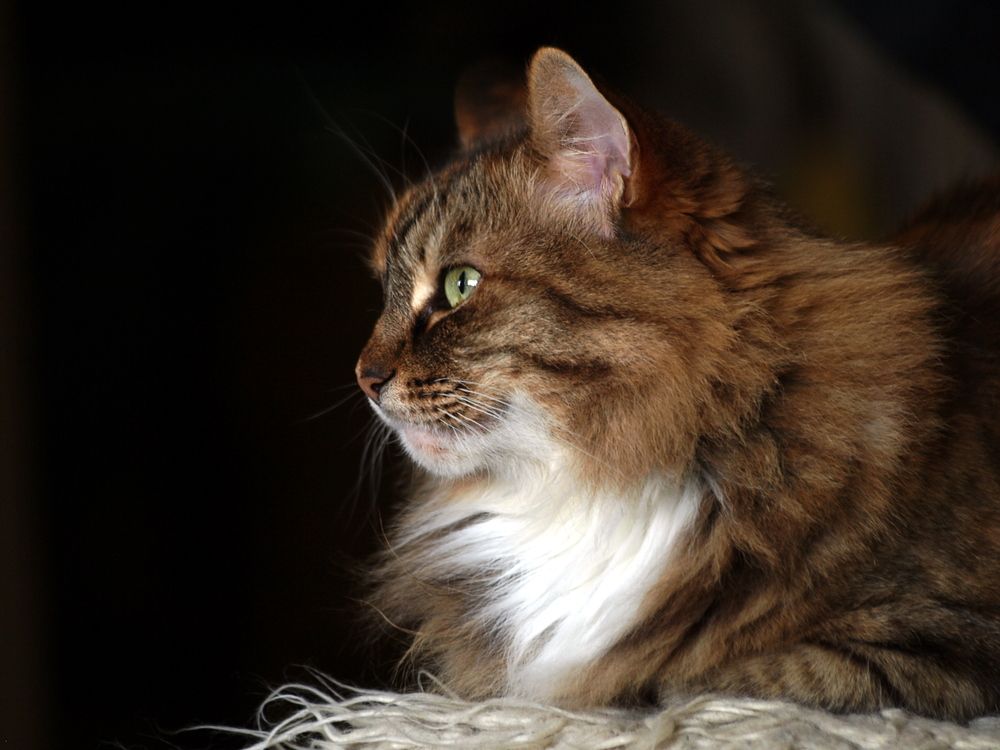 Photograph by Сергей Рябов