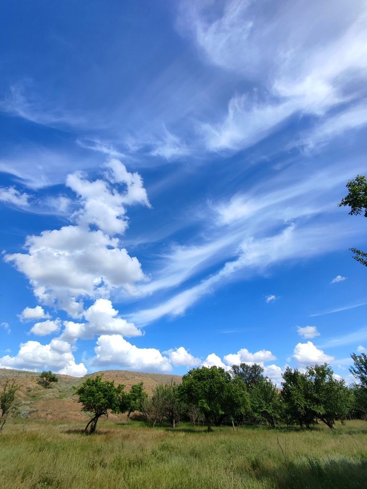 Photograph by Надежда Батракова