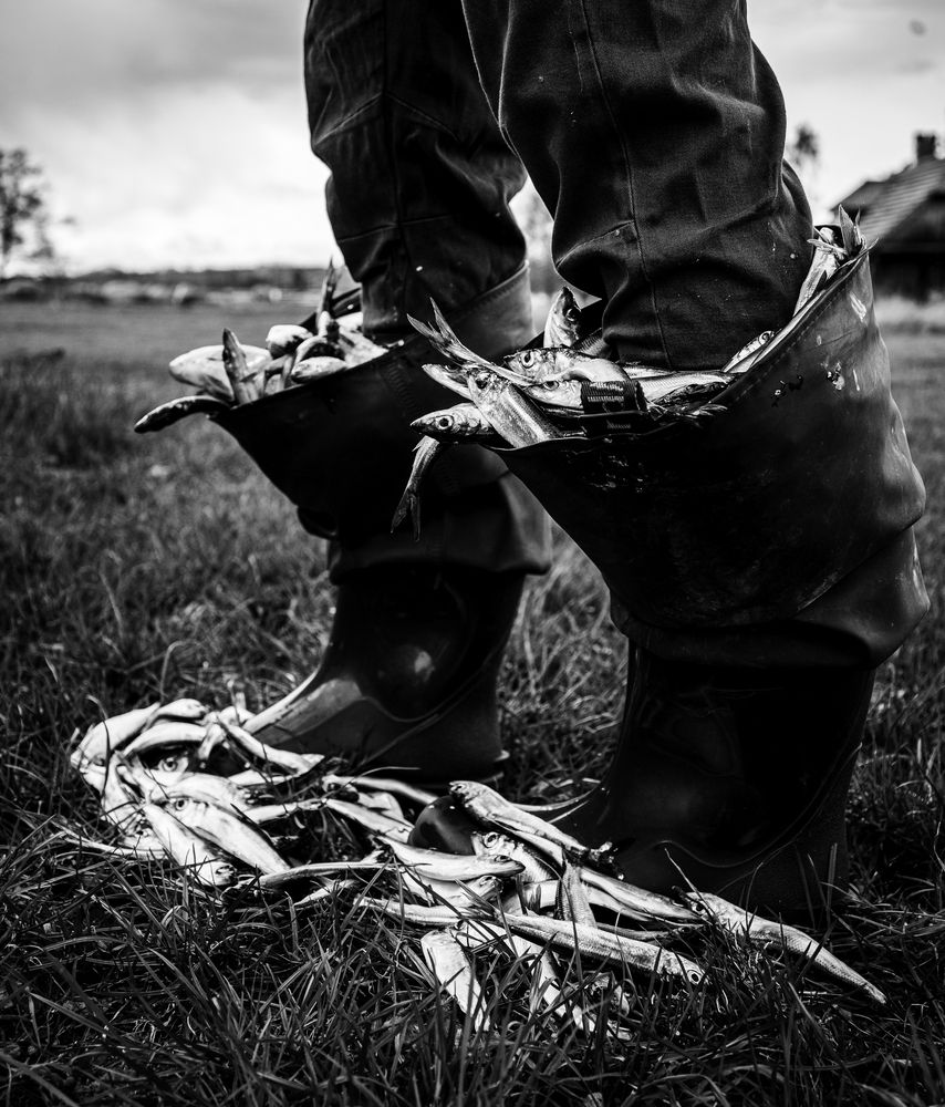 Photograph by Liis piirmets
