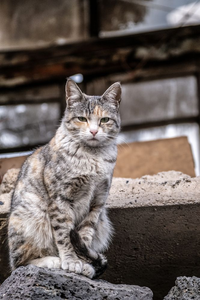 Photograph by Владимир