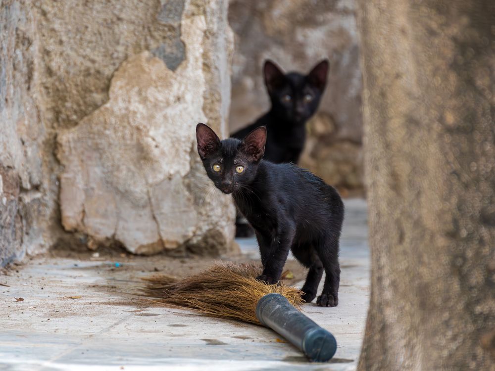 Photograph by Atul Sharma