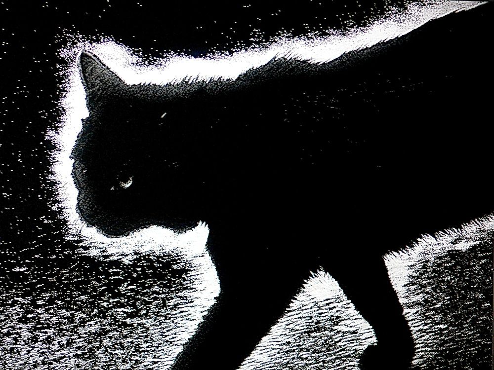 Photograph by Вадим Гераскин