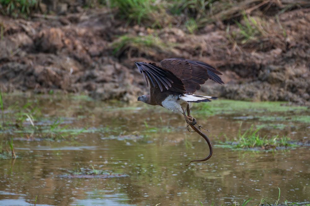 Photograph by Atul Sharma