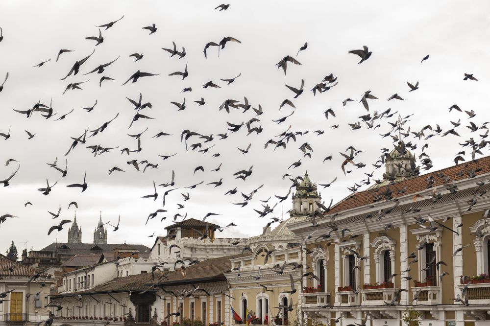 Photograph by Susie Castellano