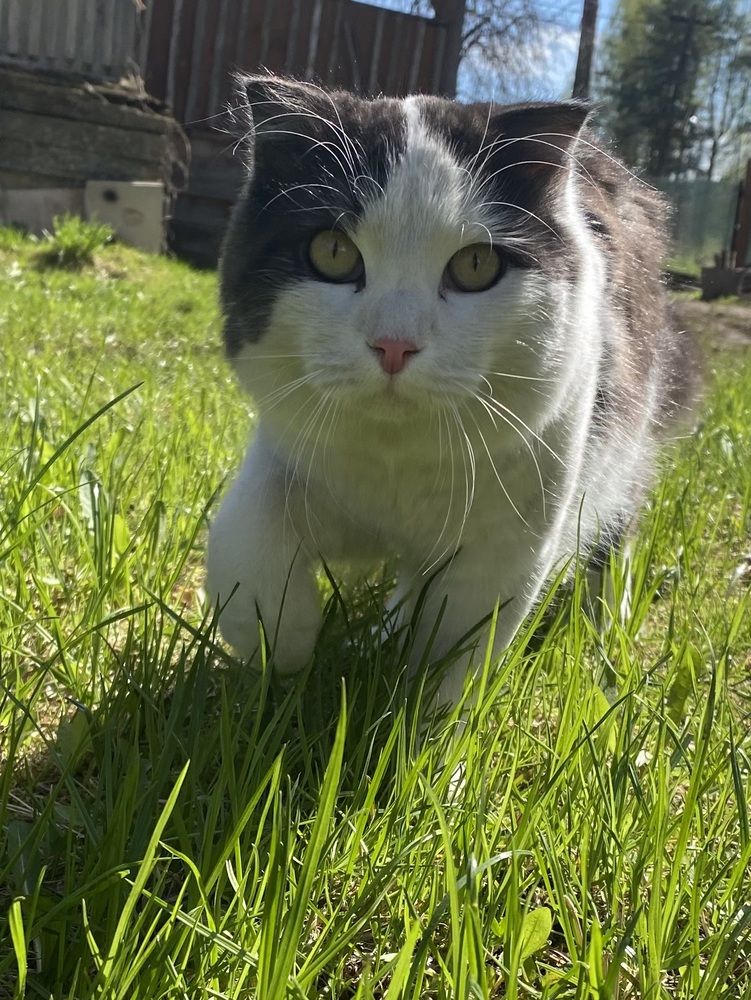 Photograph by Василина Щеглова