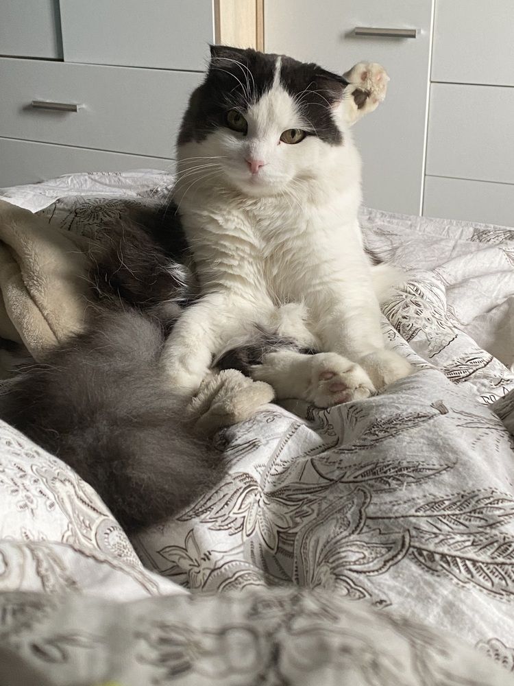 Photograph by Василина Щеглова