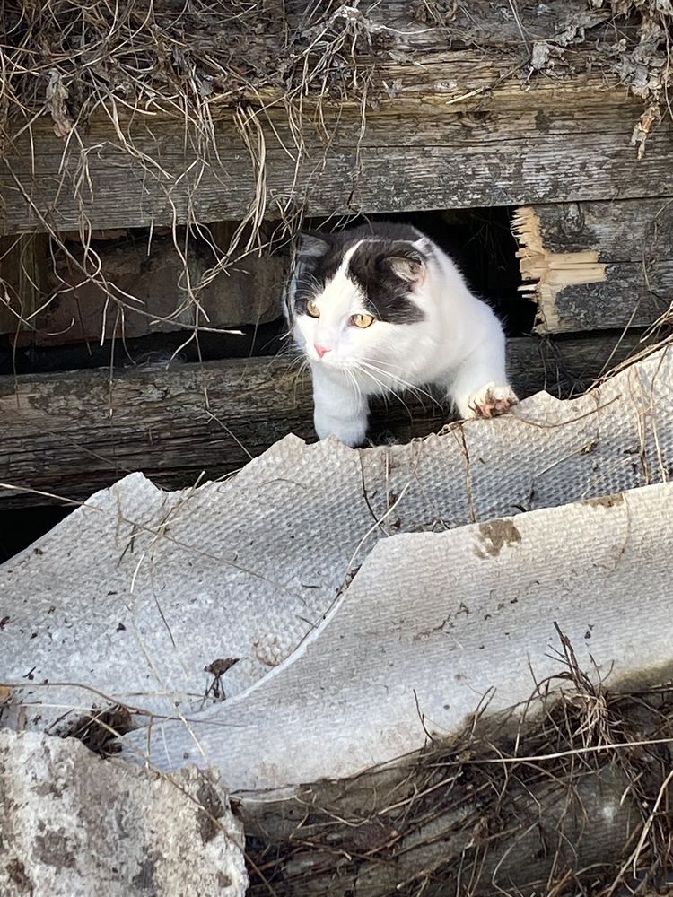 Photograph by Василина Щеглова