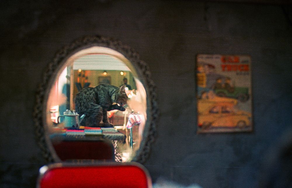 Photograph by Олег Авилов