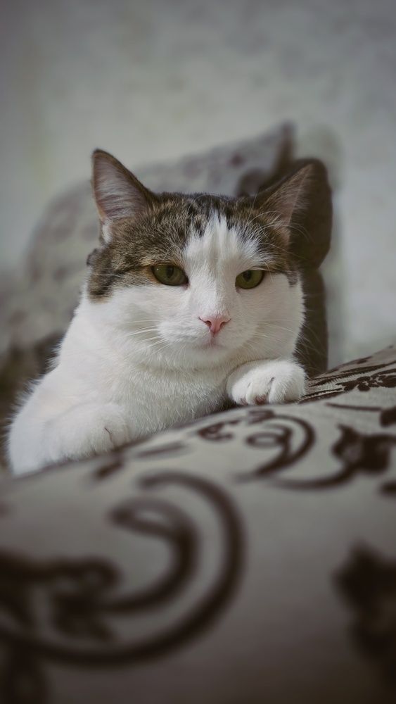 Photograph by Людмила Лукьяненко