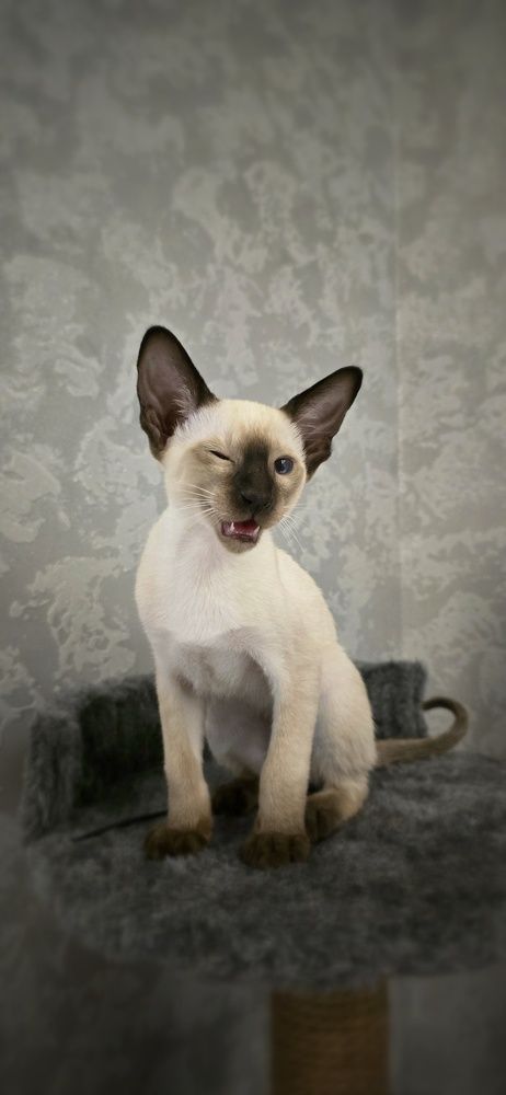 Photograph by Людмила Лукьяненко