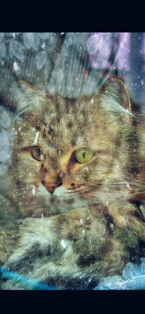 Photograph by Людмила Лукьяненко