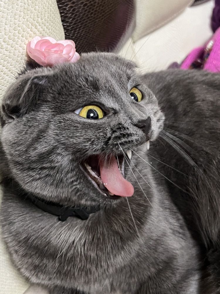 Photograph by Татьяна Дмитроченко