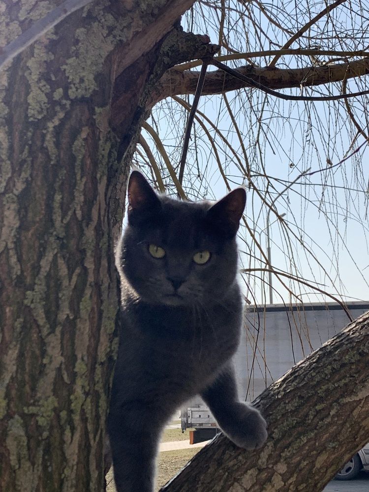 Фотография автора Ирина Шпаковская