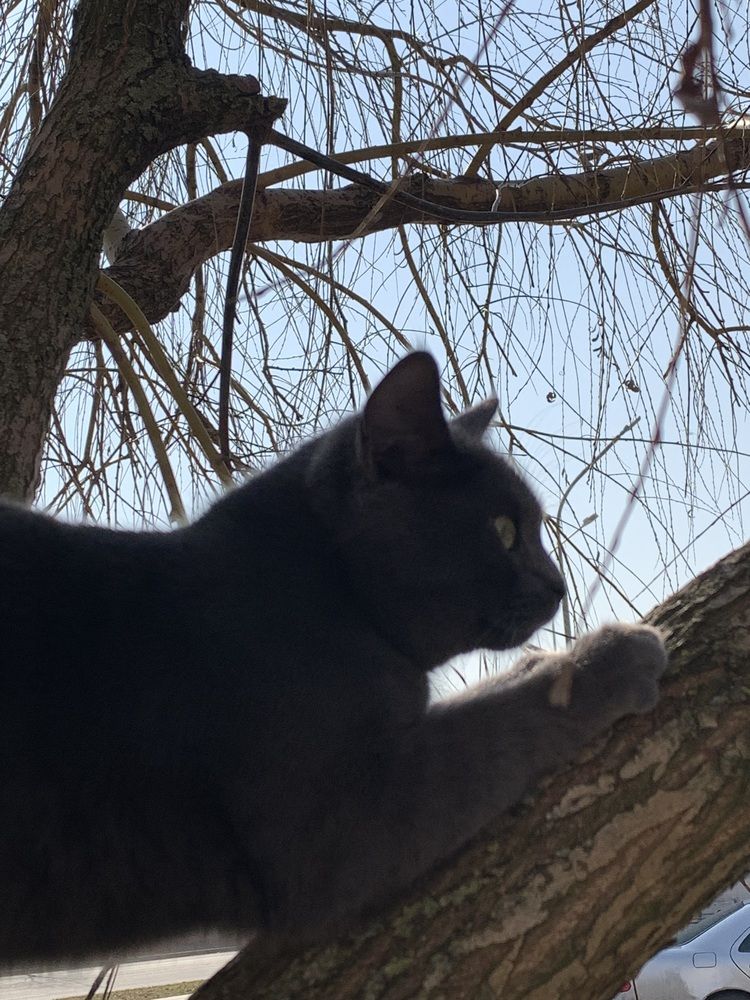 Фотография автора Ирина Шпаковская