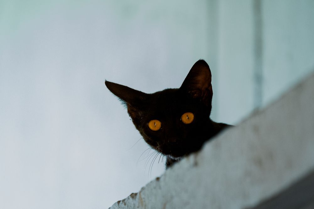 Фотография автора Arpit Dhore