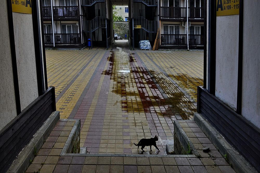 Photograph by Вадим Гераскин