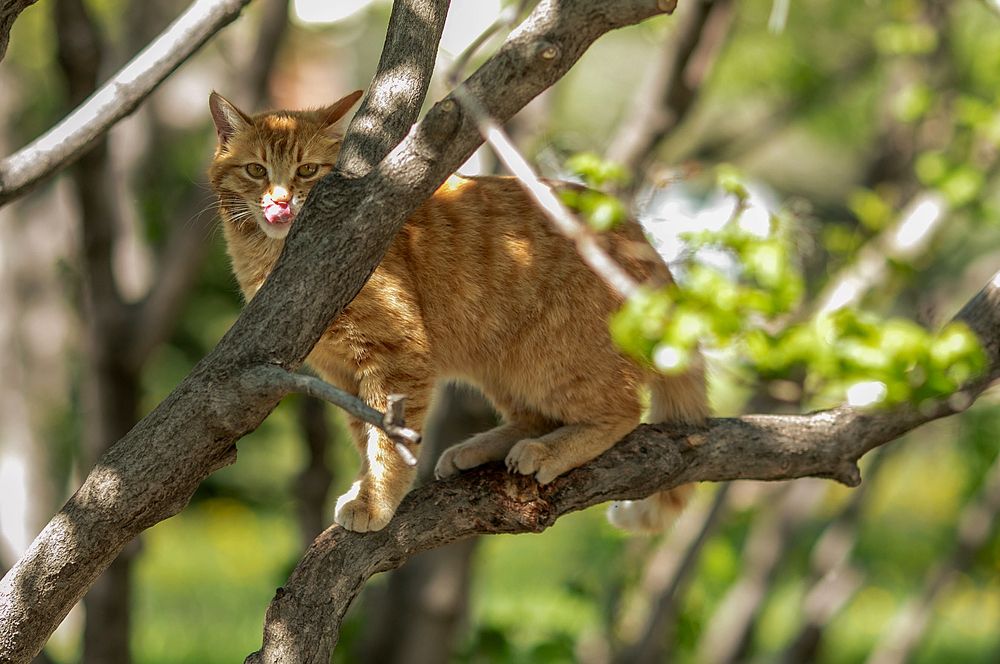 Photograph by Марина Комина