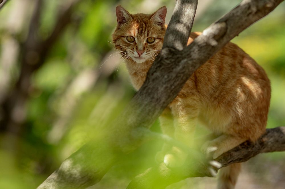 Photograph by Марина Комина