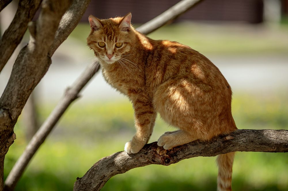 Photograph by Марина Комина