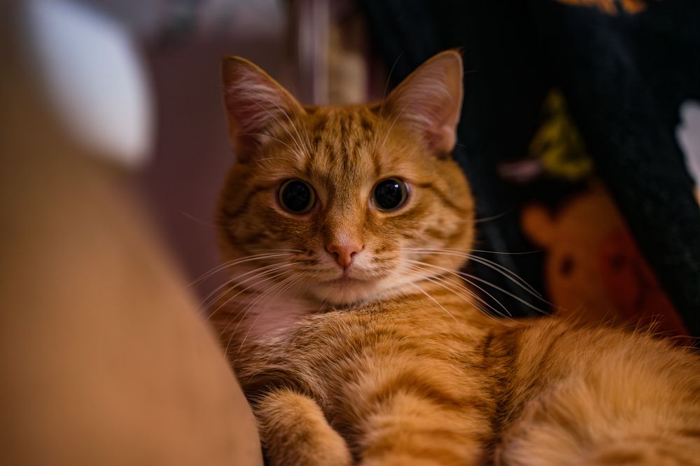 Photograph by Даниил Свиридов