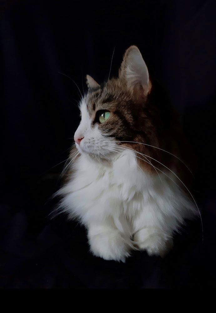Photograph by Анжелика Корчагина