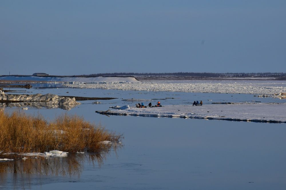 Photograph by Нина Кольман