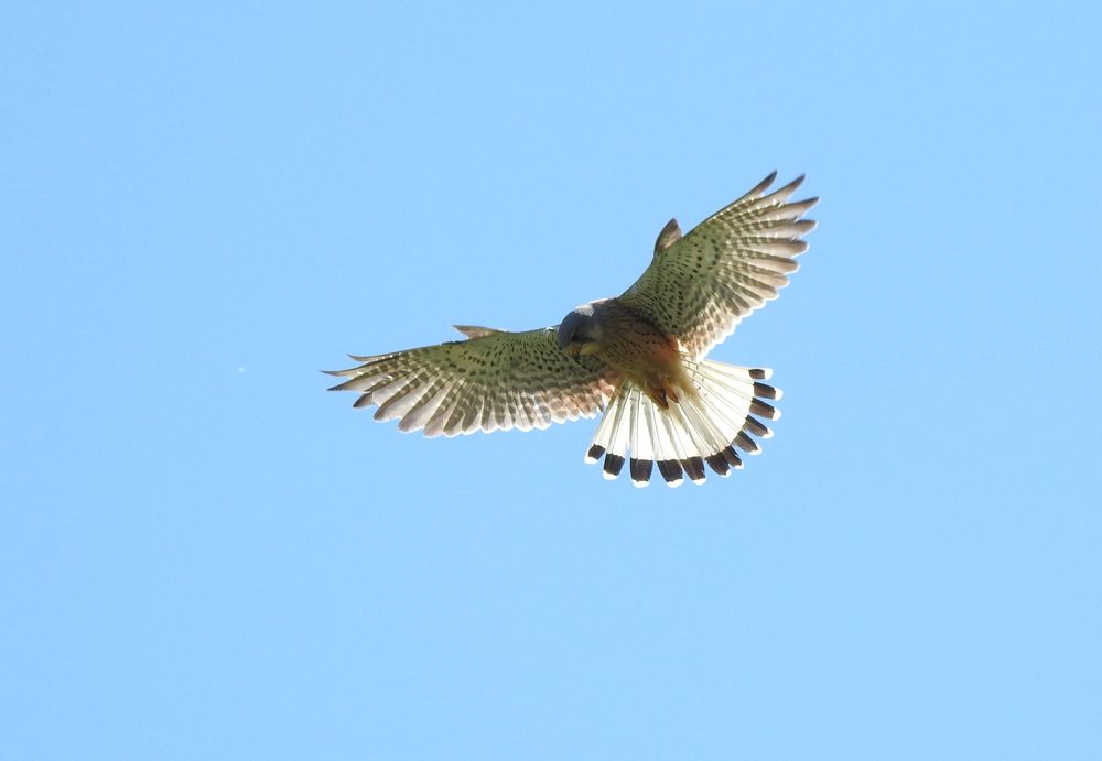 Photograph by Татьяна Калугина