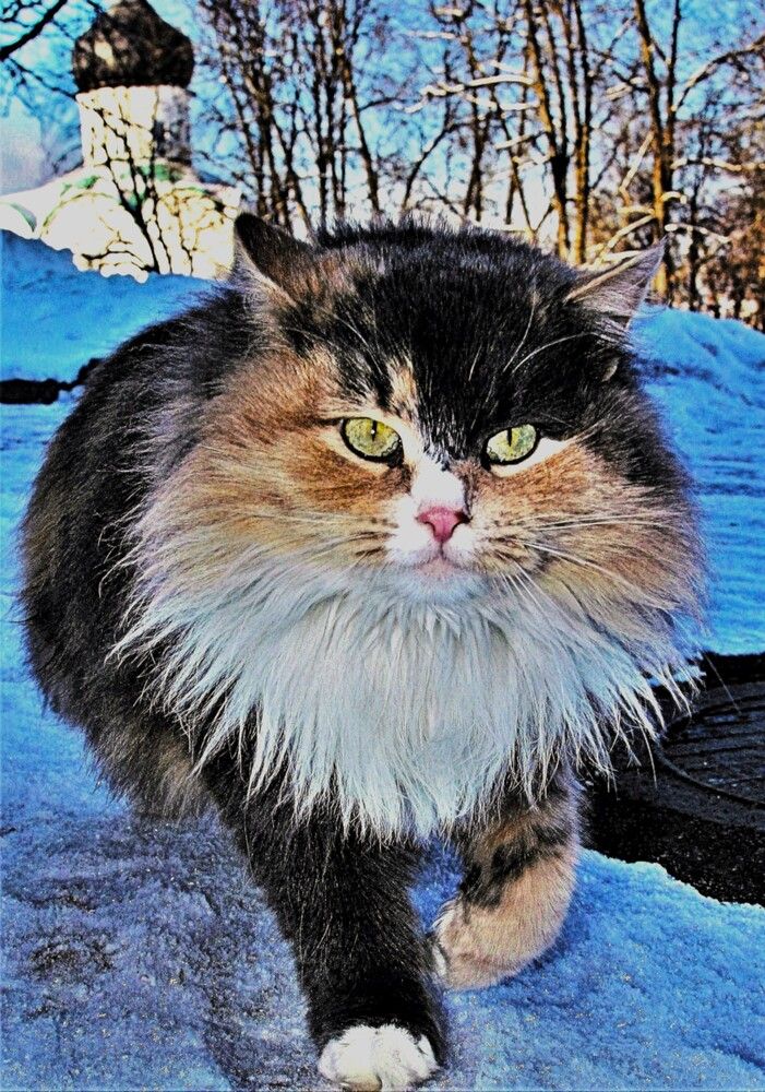 Photograph by Сергей Журавлев