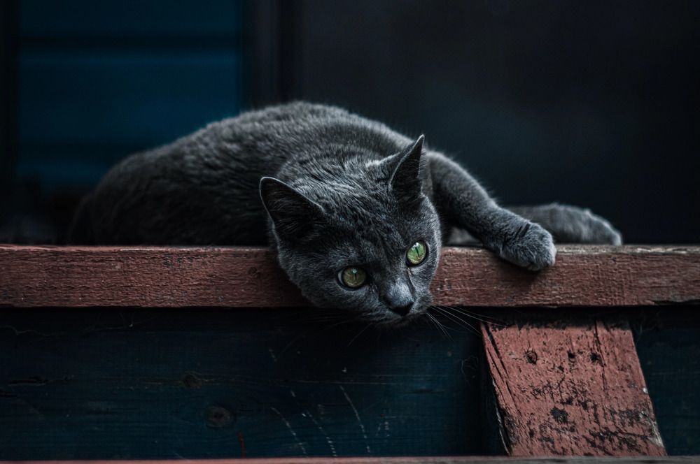 Photograph by Ольга Лобова