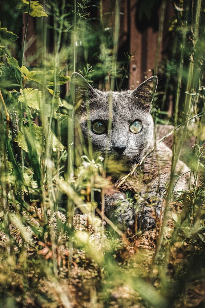 Photograph by Ольга Лобова