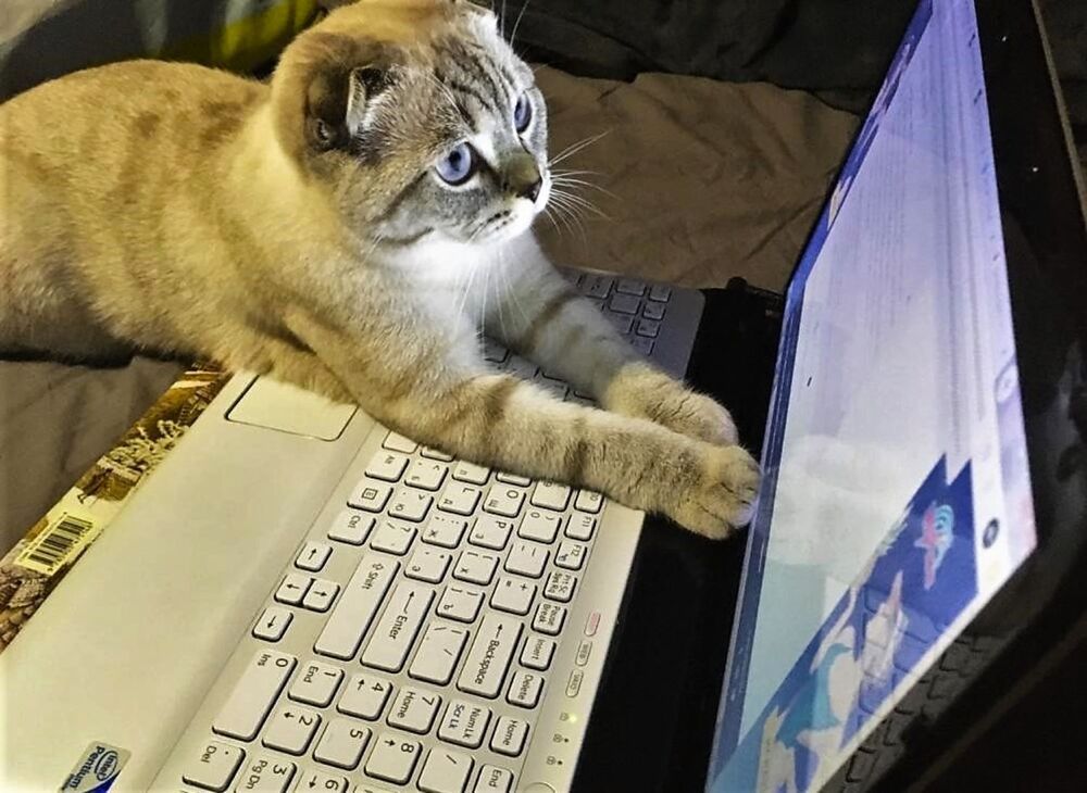 Photograph by Сергей Журавлев