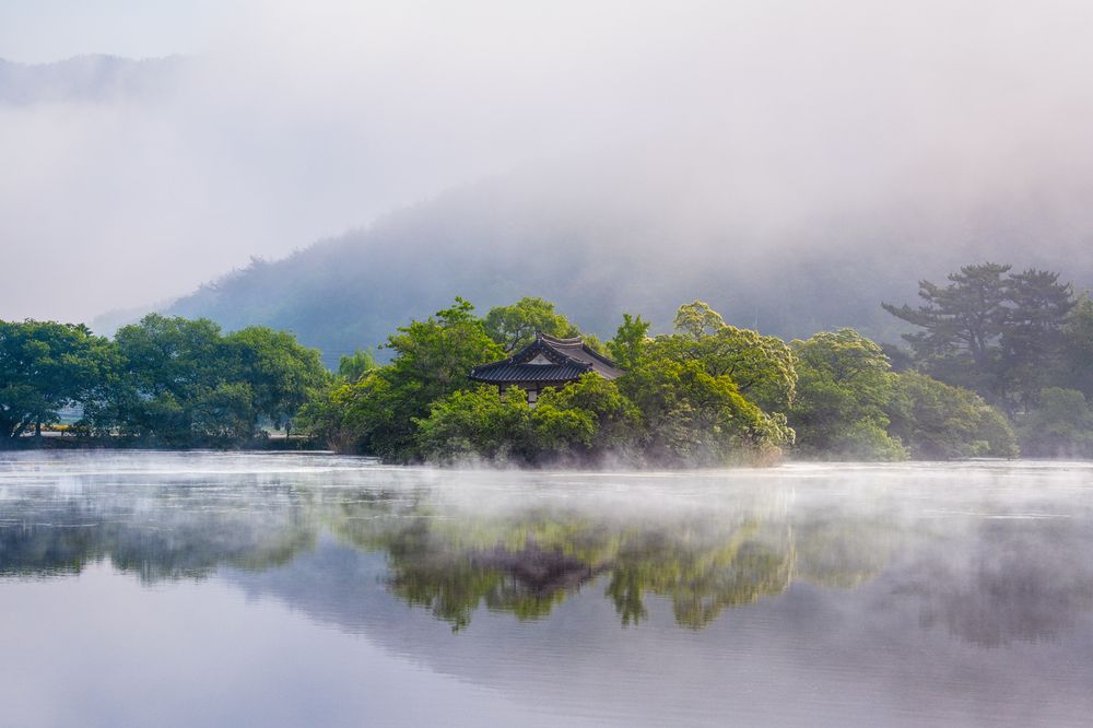 Beauty of the Lake Garden