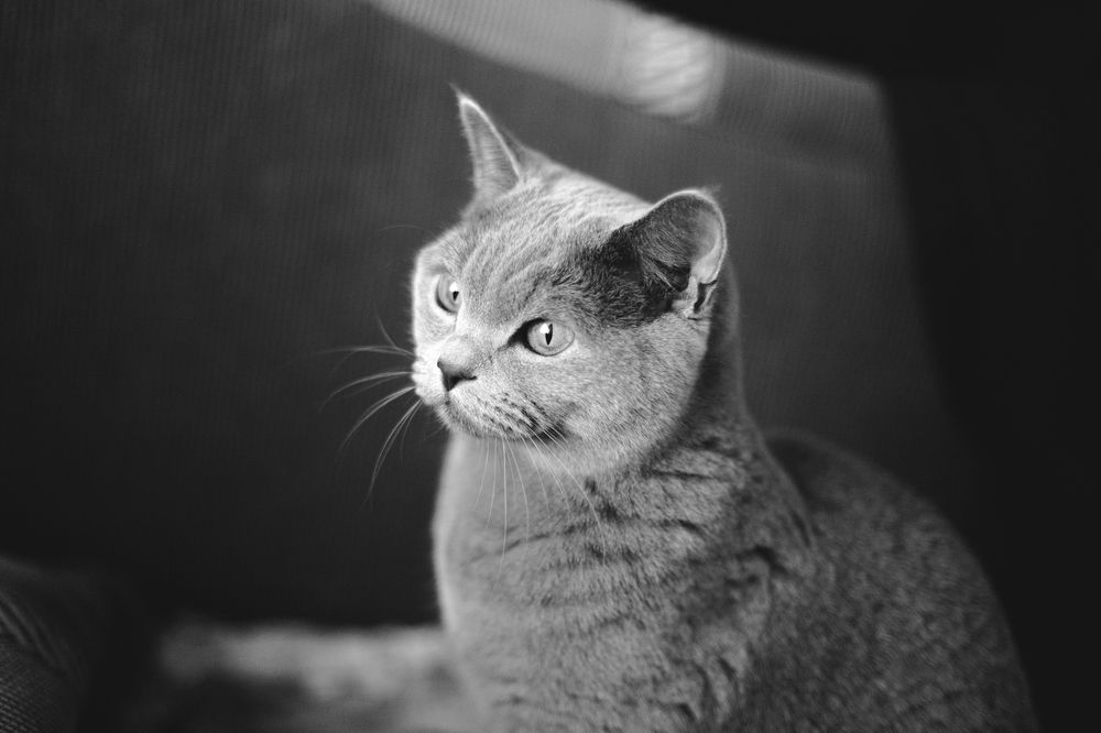 Photograph by Виктор Прокопьев