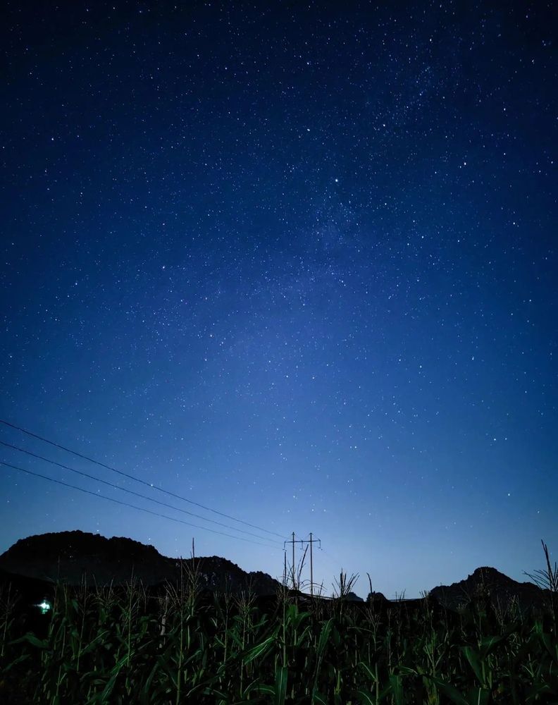 The Star in the Night Sky