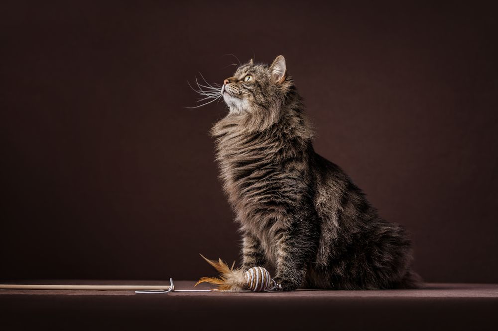 Photograph by Яна Нарбутович