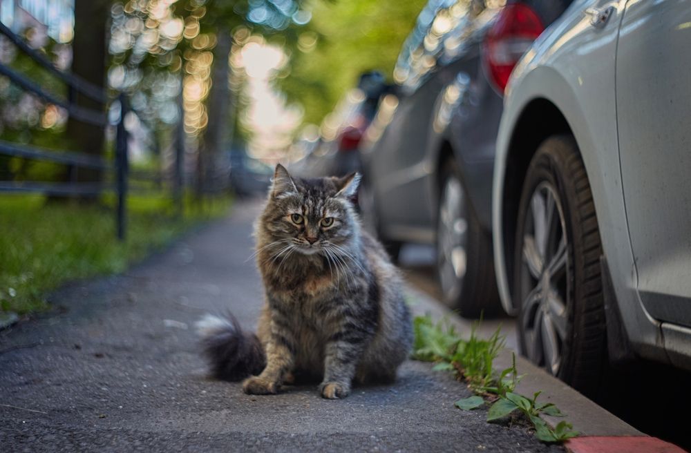 Photograph by Юлия Персинен