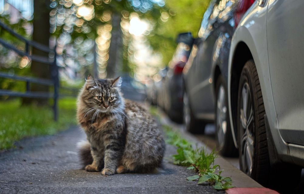 Photograph by Юлия Персинен