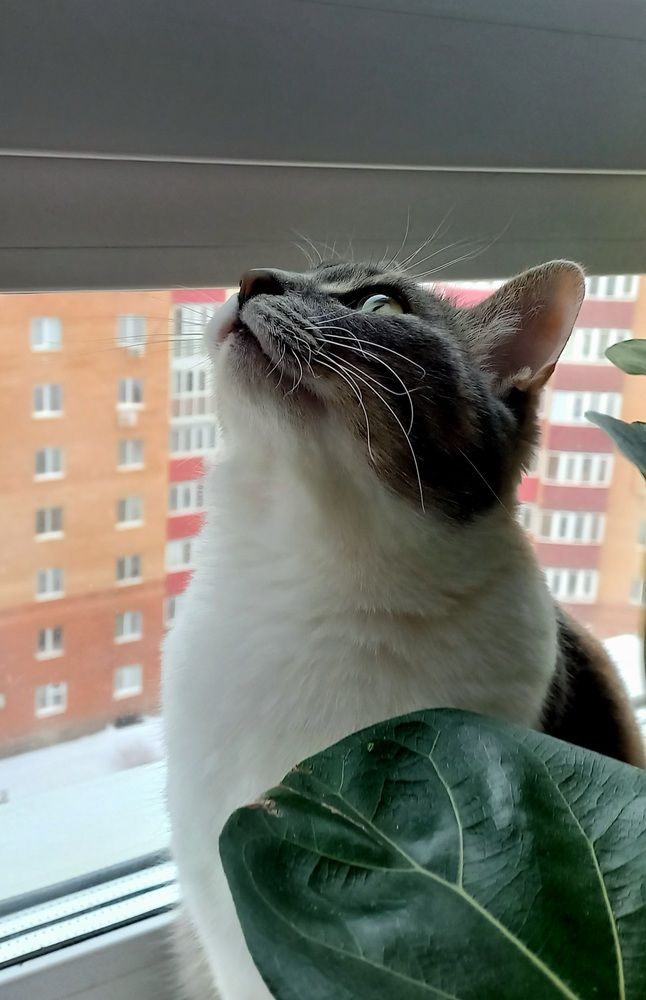 Photograph by Назмутдинова Сауия