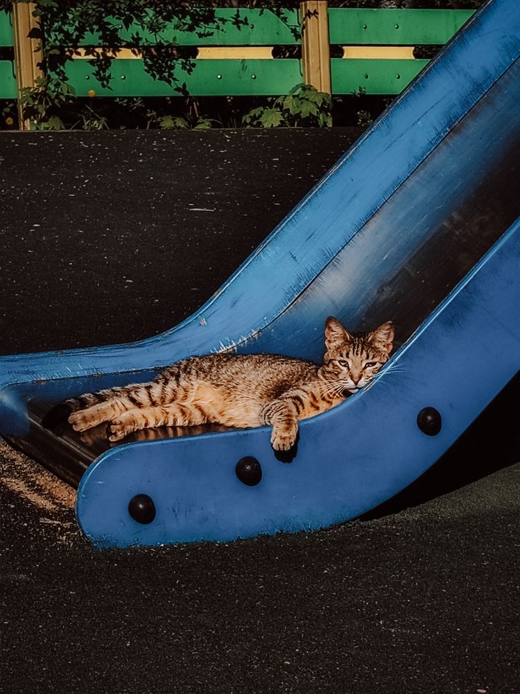 Photograph by Ole Lukoe