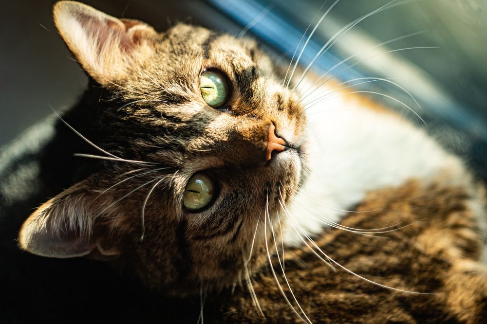 Photograph by Сергей Герасимов