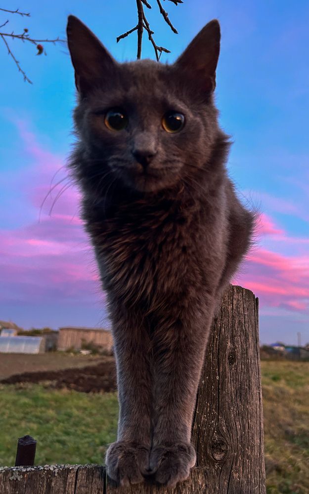 Photograph by Татьяна Петрова