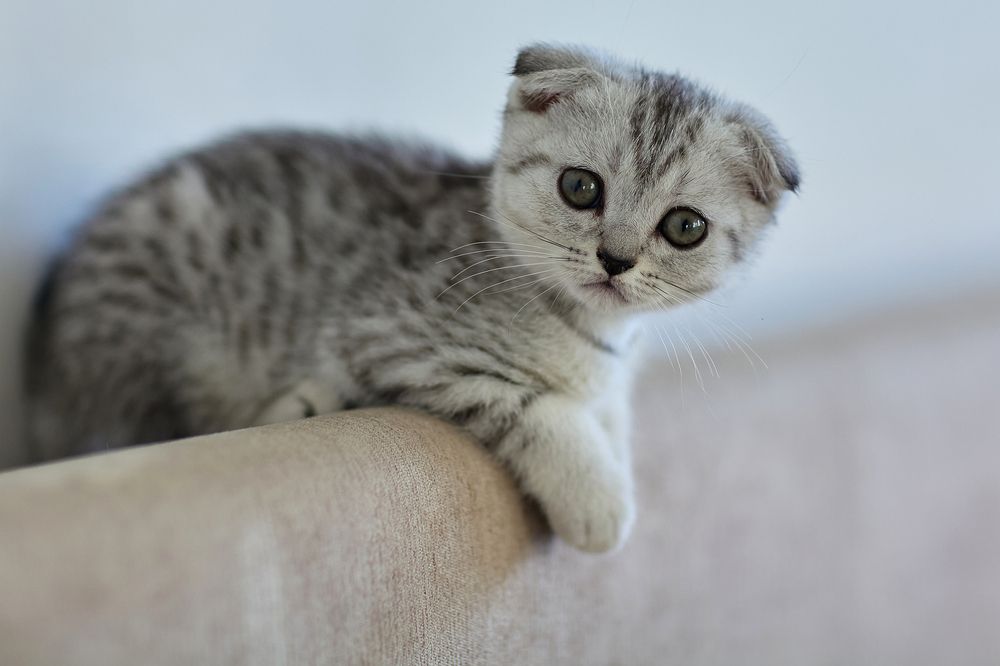 Photograph by Вербицкий Петр