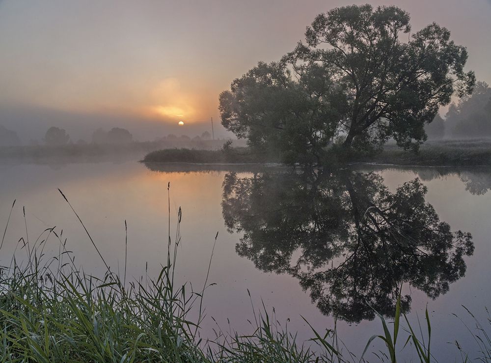 Photograph by Николай Кузьмин