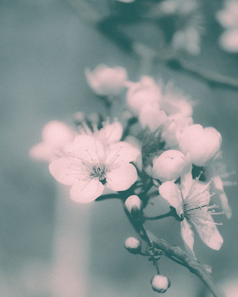 Photograph by Alexey Rodionov