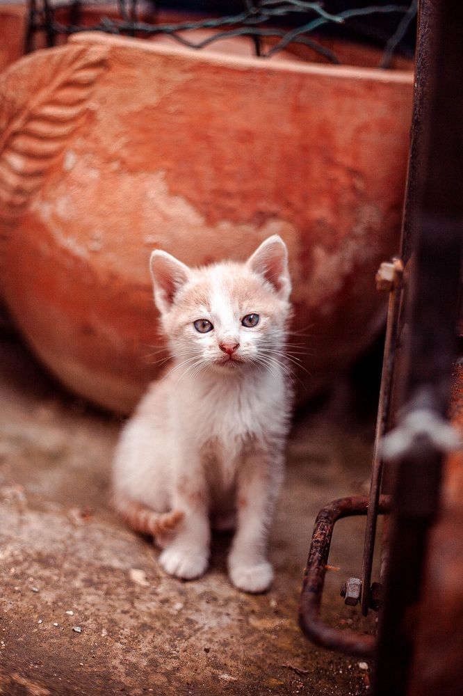 Photograph by Galina Abubekerova